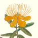 Masasada Manase Gallery